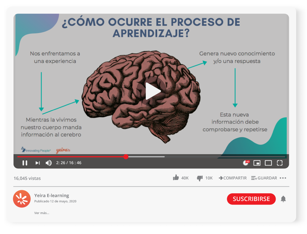 Cómo aprende el cerebro Fundamentos básicos de la neuroeducación del aprendizaje